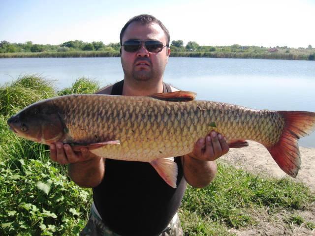 pescuit 2013 - img1625.JPG